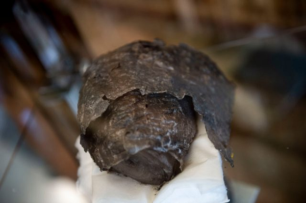 Một trong những khu vực thu hút sự quan tâm của các chuyên gia là thư viện. Đối với lĩnh vực lịch sử, khả năng khám phá các tài liệu cổ là một nhóm kho báu vô giá. Tuy nhiên thứ họ tìm được chỉ là những "mẩu bánh mì" cháy đen.