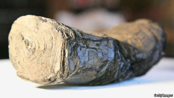 Theo các nhà khảo cổ, chủ nhân của biệt thự này có thể là Lucius Piso, một chính trị gia và thượng nghị sĩ nổi tiếng ở La Mã cổ đại. Ngoài ra, ông còn được biết đến là cha vợ của Hoàng đế Caesar.