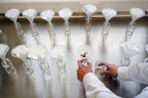 Tuy có các cây quillay riêng lẻ mọc bên ngoài Chile, nhưng đây là quốc gia duy nhất mà cây quillay trưởng thành được thu hoạch từ rừng với số lượng lớn. Mời câc bạn xem video: Khung cảnh thiên nhiên tuyệt đẹp tại các quốc gia ít dân nhất thế giới. Nguồn: VTC.