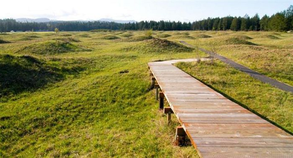 Một số người cho rằng đó có thể là kết quả của việc mặt đất đóng băng nứt ra thành nhiều hình dạng nhiều mặt vào cuối kỷ băng hà.