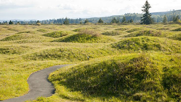 Các nhà khoa học phán đoán các nấm mồ Mina đã có tuổi đời hàng nghìn năm. Nhiều giả thuyết được đưa ra để lí giải nguyên nhân như động đất, sông băng, người ngoài hành tinh nhưng vẫn chưa thuyết phục.