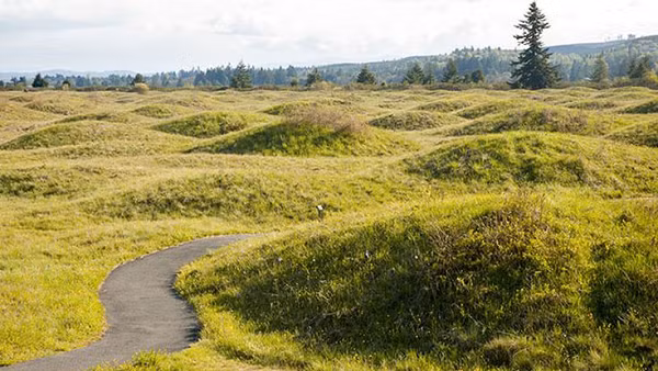 Các nhà khoa học phán đoán các nấm mồ Mina đã có tuổi đời hàng nghìn năm. Nhiều giả thuyết được đưa ra để lí giải nguyên nhân như động đất, sông băng, người ngoài hành tinh nhưng vẫn chưa thuyết phục.