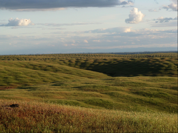 Tuy nhiên, theo sự phát triển của xã hội, số lượng gò ngày càng giảm và đang cần được sự bảo vệ từ chính quyền để hình thái độc đáo này không bị mai một và biến mất.