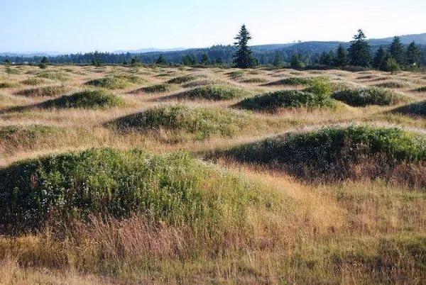 Đã có rất nhiều giả thiết đưa ra như chúng hình thành thông qua sóng xung kích từ động đất, lũ lụt cổ đại hoặc dòng chảy từ chính các sông băng.