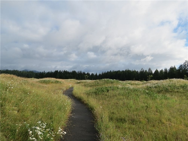 Một con sông chảy qua khu mồ Mima ở Washington, Mỹ tạo nên cảnh tượng vô cùng thơ mộng và đẹp mắt.