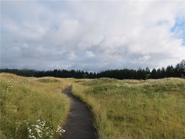 Một con sông chảy qua khu mồ Mima ở Washington, Mỹ tạo nên cảnh tượng vô cùng thơ mộng và đẹp mắt.