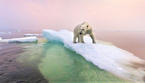 Bên dưới những lớp băng vĩnh cửu ở Bắc Cực là kho khổng lồ lưu trữ cacbon. Băng tan sẽ giải phóng vào khí quyển dưới dạng khí cacbonic và mêtan, góp phần vào việc phát thải khí nhà kính và gây ra sự thay đổi đột ngột đối với cảnh quan.