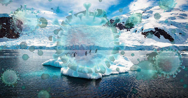 Các chất ô nhiễm và hóa chất có nồng độ cao trước đây được lưu trữ trong lớp băng vĩnh cửu có thể được thải ngược trở lại bầu khí quyển khi nó tan chảy và dòng nước tăng lên đồng nghĩa với việc nó có thể phân tán rộng rãi, gây hại cho các loài động vật và chim cũng như xâm nhập vào chuỗi thức ăn của con người.