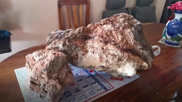 Long diên hương (còn gọi là long duyên hương) là một chất sáp màu xám được tạo thành trong hệ tiêu hóa của cá nhà táng. Cá nhà táng thuộc về bộ cá voi, phân bộ cá voi có răng. Cá nhà táng là loài cá lớn nhất đại dương. Long diên hương là phần tinh túy của loài cá khủng này.