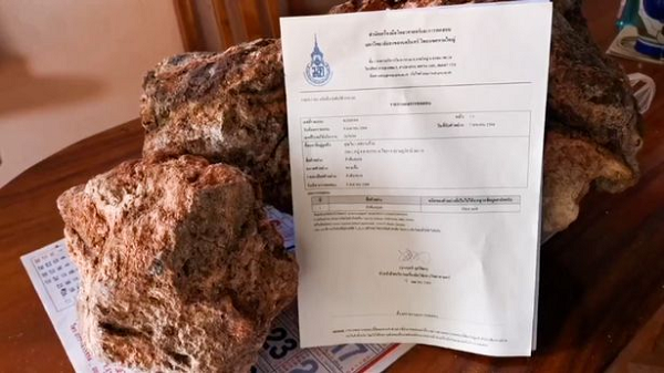 Nhiều người cho rằng long diên hương là phân của cá nhà táng. Tuy nhiên, nói một cách chính xác thì long diên hương không hẳn là phân, nó có dạng chất sáp với thành phần là chất béo.