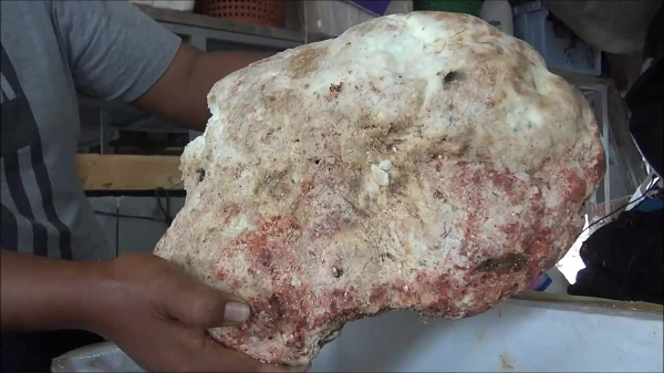 Nhưng điều quan trọng hơn cả là bên trong long diên hương lại cho khá nhiều mùi hương khác nhau, từ đó làm nên giá trị cho chúng. "Giống như một bọc gồm 20-30 hợp chất khác nhau, và mỗi loại lại cho mùi hương riêng. Có loại mang mùi nấm, ngửi góc khác lại thấy mùi giống cây thuốc lá, mùi cỏ dại, mùi rơm, và thậm chí là... mùi phân.