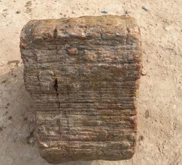 Phiến đá này có vẻ ngoài giống y hệt gỗ nhưng khi sờ vào mới biết là không phải. Lão Lưu quan sát bên ngoài phiến đá thấy nó có lớp vân nhìn y hệt như những thớ gỗ. Vỏ ngoài còn sần sùi như vỏ thân cây. Duy nhất chỉ có bên trong là vô cùng cứng và mịn.