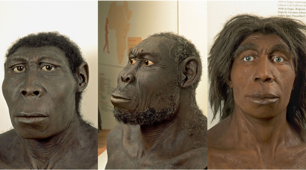 Vị tổ tiên bí ẩn đó được cho là người Denisovans, một ' 'loài người ma'' ẩn hiện trong bộ gene của con người hiện đại, là dấu tích của các cuộc hôn phối khác loài.