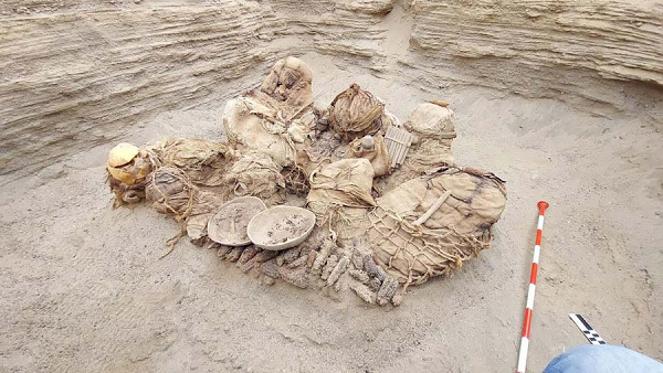 Cecilia Camargo - nhà khảo cổ học được Công ty Calidda thuê đến để khai quật ngôi mộ cho biết, phát hiện này đã cung cấp nhiều thông tin về lịch sử thành phố Chilca giai đoạn tiền Tây Ban Nha.