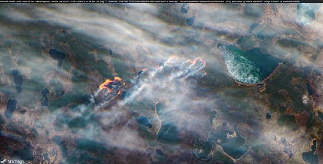 Tháng 4/2020, các nhà khoa học đã công bố nghiên cứu việc nhiệt độ tăng làm tan chảy đất băng vĩnh cửu ở Bắc Cực có thể giải phóng các loại vi khuẩn nguy hiểm vốn đang "ngủ".