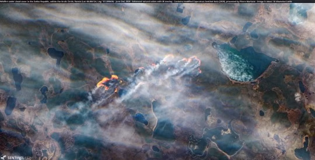 Tháng 4/2020, các nhà khoa học đã công bố nghiên cứu việc nhiệt độ tăng làm tan chảy đất băng vĩnh cửu ở Bắc Cực có thể giải phóng các loại vi khuẩn nguy hiểm vốn đang "ngủ".