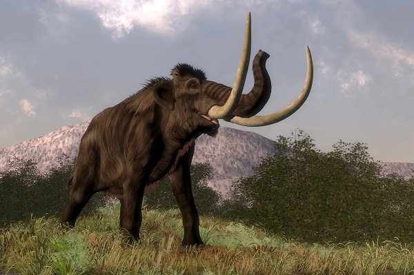 Tuy nhiên sự ấm lên toàn cầu đã khiến các khu vực đó trở nên nóng nực, góp phần vào sự ''sụp đổ dân số'' của loài quái thú to lớn này, bởi chúng vẫn cần môi trường đủ lạnh ở một mức độ nào đó.