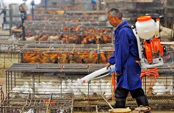 Việc nhiều người nhiễm cúm như thế là điều không thể bỏ qua và giới nghiên cứu coi trọng việc theo dõi sự tiến hóa của virus, đặc biệt là các biến chủng kháng thuốc.