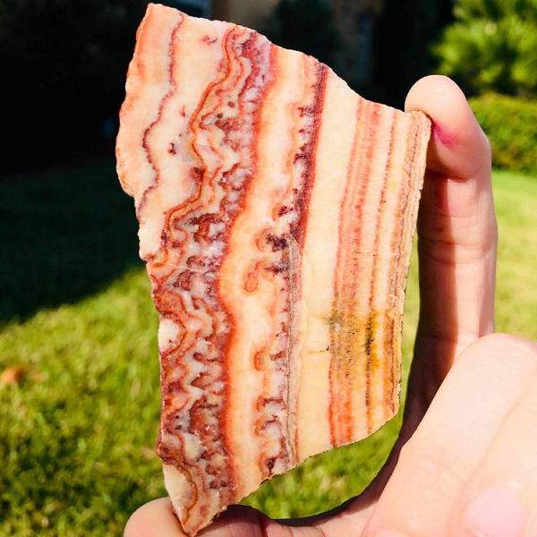 Điều kỳ lạ nhất của loại đá này là các lớp của đá trông rất giống các lớp da, mỡ và nạc ở thịt lợn. Và chính sự đặc biệt này khiến chúng trở nên nổi tiếng và có giá trị khủng. Không thể tin nổi khi mỗi viên đá có thể được bán với giá gần 4 tỷ đồng.