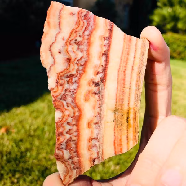 Điều kỳ lạ nhất của loại đá này là các lớp của đá trông rất giống các lớp da, mỡ và nạc ở thịt lợn. Và chính sự đặc biệt này khiến chúng trở nên nổi tiếng và có giá trị khủng. Không thể tin nổi khi mỗi viên đá có thể được bán với giá gần 4 tỷ đồng.