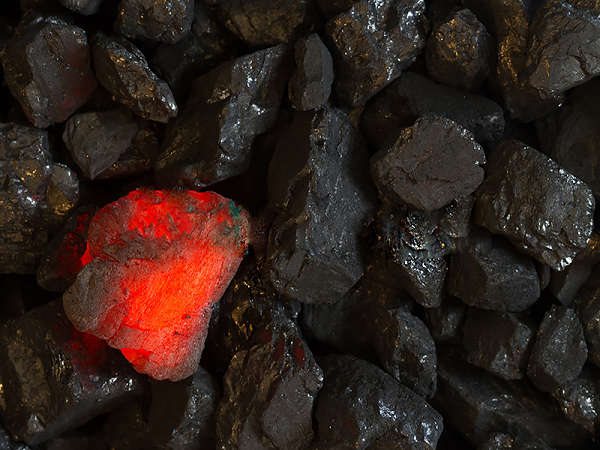 Ông Suwiro, một ngư dân 60 tuổi ở Java, thì nói rằng nhà máy là nguyên nhân dẫn đến sự sụt giảm nghiêm trọng về kích thước và chất lượng sản lượng khai thác của ông trong những năm qua.