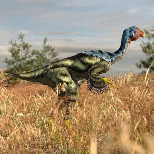 Theo một nghiên cứu năm 2012, DNA trong xương sẽ bị phá vỡ hoàn toàn trong thời gian tối đa là khoảng 7 triệu năm, tùy thuộc vào yếu tố môi trường. Nhưng đã có lúc các nhà khoa học tìm được "báu vật" bất ngờ.