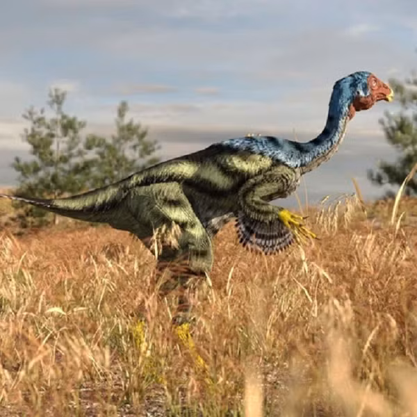 Theo một nghiên cứu năm 2012, DNA trong xương sẽ bị phá vỡ hoàn toàn trong thời gian tối đa là khoảng 7 triệu năm, tùy thuộc vào yếu tố môi trường. Nhưng đã có lúc các nhà khoa học tìm được "báu vật" bất ngờ.