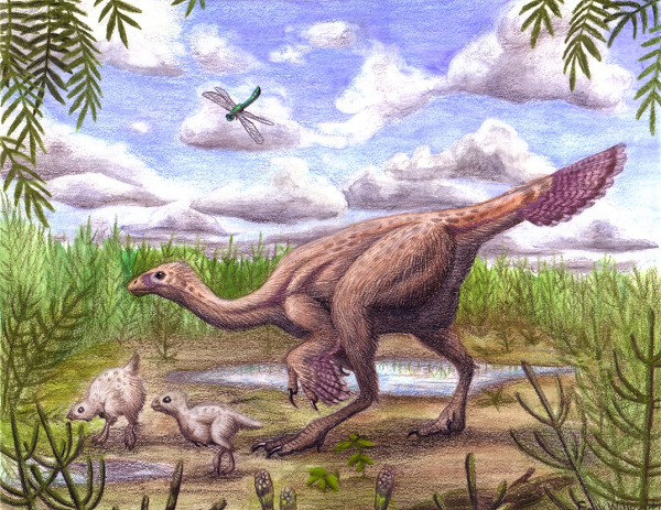 Nhà cổ sinh vật học Alida Bailleul từ Học viện Khoa học Trung Quốc, người đứng đầu nghiên cứu, cho biết nếu có bất kỳ DNA hoặc phân tử giống DNA nào trong hóa hạch, một ngày nào đó họ có thể làm sáng tỏ các đoạn mã của chuỗi gene loài này.