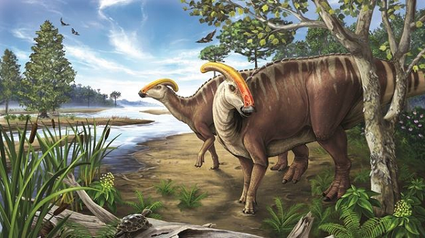 Vì vậy các nhà khoa học cần tìm thêm vài dấu hiệu hóa học để xác định danh tính các cấu trúc bí ẩn, cũng như làm hy vọng tái tạo lại một chuỗi nhiễm sắc thể hoàn chỉnh từ loài sinh vật đã tuyệt chủng này.