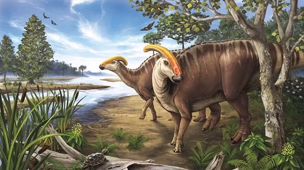 Vì vậy các nhà khoa học cần tìm thêm vài dấu hiệu hóa học để xác định danh tính các cấu trúc bí ẩn, cũng như làm hy vọng tái tạo lại một chuỗi nhiễm sắc thể hoàn chỉnh từ loài sinh vật đã tuyệt chủng này.