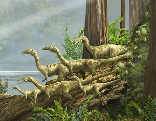 Hồi sinh khủng long luôn là niềm mong muốn của con người miễn sao DNA gốc của khủng long có thể được chiết xuất, phôi của chúng có thể phát triển được trong phòng thí nghiệm thì điều đó sẽ thành hiện thực.