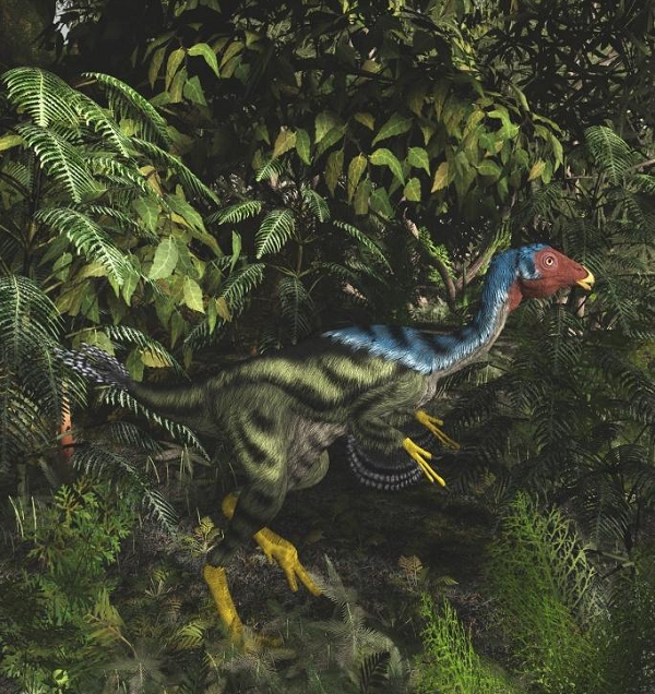 Nếu tàn tích của DNA có thể ẩn náu trong các hóa thạch khủng long 125 triệu năm tuổi được xác nhận, đây sẽ là vật chất nhiễm sắc thể lâu đời nhất được ghi nhận trong hóa thạch động vật có xương sống.