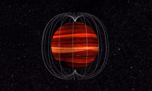 Không như các ngôi sao có kích thước trung bình và lớn tích trữ heli trong lõi, sao lùn đỏ lại để nó đối lưu tức là liên tục trộn heli và hidro lại với nhau. Nên tuổi họ trung bình của nó vào khoảng 1-10 tỉ tỉ năm, rất lớn so với 13,8 tỉ năm tuổi của vũ trụ.