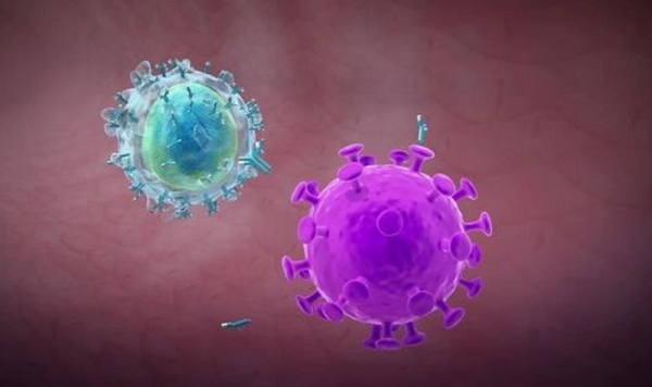 “Tiến trình tiếp theo là sự lây lan rộng rãi từ người sang người... Nhưng điều khiến chúng tôi ngạc nhiên là loại virus này có thể dễ dàng truyền từ người trở lại động vật”, giáo sư Wang cho biết.