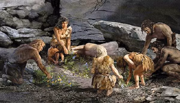 "Người ta sẽ không chôn người chết trong phòng khách hay phòng ngủ'' - giáo sư Finlayson giải thích và cho rằng việc tìm thấy các dấu vết sinh sống ở các khoang dễ tiếp cận của hang nhưng không tìm thấy hài cốt là điều tự nhiên.