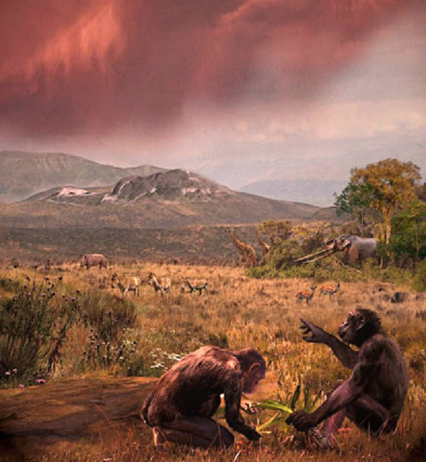 Chiếu theo thuyết tiến hóa, các nhà nghiên cứu đã mô tả về mẫu vật này và lập luận rằng đây là tổ tiên của con người, nhưng bàn chân của họ vào thời điểm đó chưa thể phát triển giống với con người hiện đại.