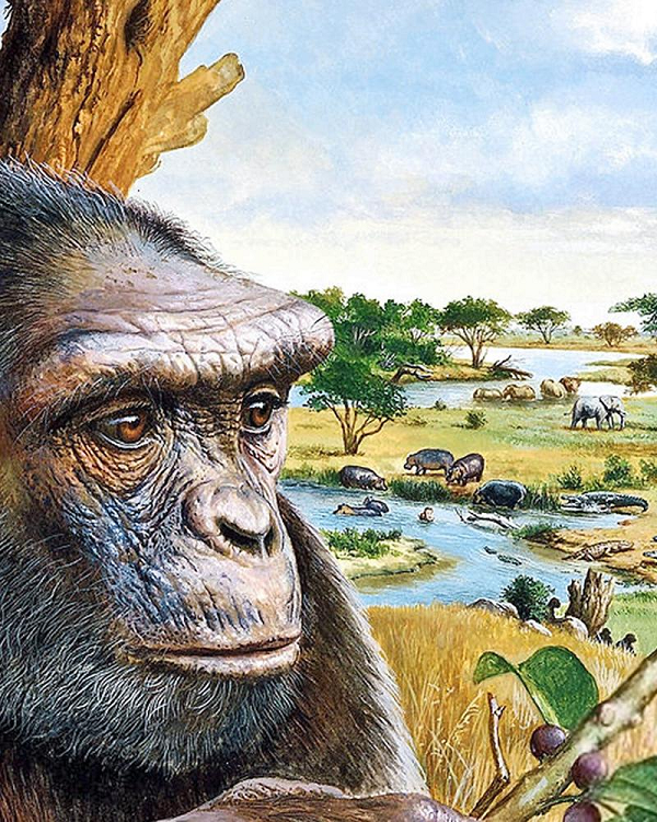 Phát hiện mới trên đảo Crete, Hy Lạp, có thể làm thay đổi lịch sử phát triển của nhân loại chúng ta. Vấn đề chủ yếu là các học giả chính thống đều cho rằng những con người đầu tiên của nhân loại không những có nguồn gốc từ Châu Phi mà họ còn ở đó vài triệu năm trước khi phân tán sang châu Á và châu Âu. Mời các bạn xem video: Khung cảnh thiên nhiên tuyệt đẹp tại các quốc gia ít dân nhất thế giới. Nguồn: VTC.