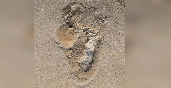 Những dấu chân hóa thạch của tổ tiên loài người có niên đại tới hàng triệu năm tuổi được phát hiện vào năm ngoái ở đảo Crete, Hy Lạp đã đặt ra một thách thức lớn đối với thuyết tiến hóa của loài người.