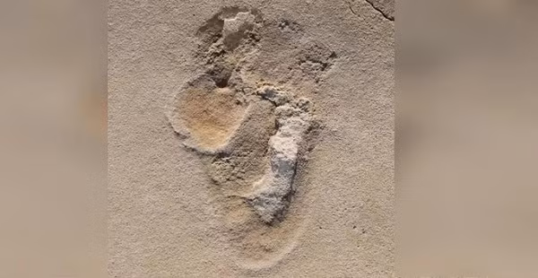 Những dấu chân hóa thạch của tổ tiên loài người có niên đại tới hàng triệu năm tuổi được phát hiện vào năm ngoái ở đảo Crete, Hy Lạp đã đặt ra một thách thức lớn đối với thuyết tiến hóa của loài người.