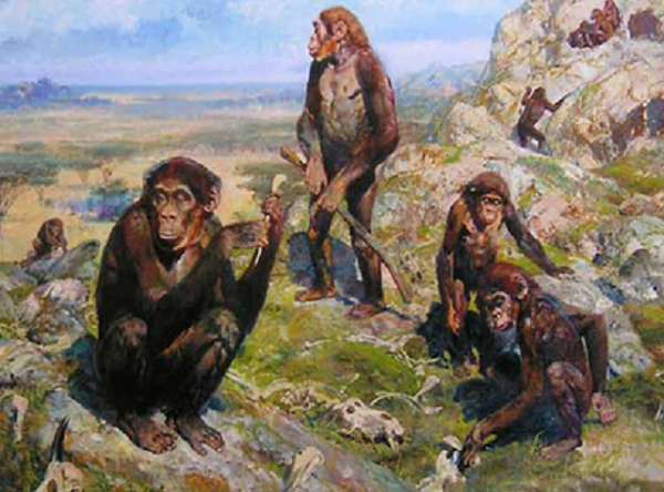 Một đặc điểm gây bất ngờ nữa là dấu chân được tìm thấy ở một hòn đảo Hy Lạp, chứ không phải châu Phi, cho thấy lịch sử tiến hóa và di cư của tiền nhân có thể phức tạp hơn chúng ta tưởng.