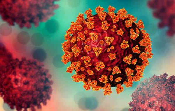 Biến chủng B.1.630 chưa được đặt tên theo chữ cái Hy Lạp như Delta, Alpha vì số lượng mẫu khi đó rất nhỏ.