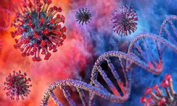 Tuy nhiên, virus sẽ không có cơ hội đột biến ở những người miễn dịch với bệnh nhờ tiêm chủng. Vì vậy, tỷ lệ dân số được tiêm chủng càng cao, thì virus sẽ càng có ít cơ hội đột biến thành các dòng biến thể mới có khả năng lây truyền cao hơn hoặc có hại hơn.