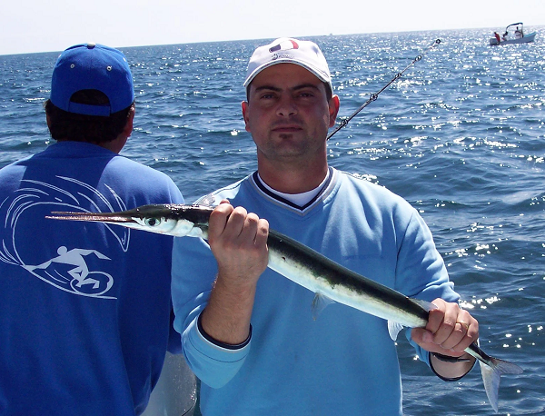 Trường hợp khác là cậu bé 16 tuổi người Việt Nam vào năm 2007, bị cá nhái đâm xuyên tim khi đang lặn biển mò hải sâm vào ban đêm tại vịnh Hạ Long.