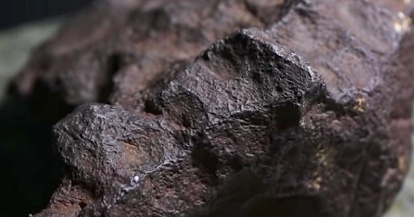 Tuy nhiên ông Fred không thực sự tin câu chuyện của người chủ nên ông vẫn sử dụng nó như một viên đá chặn cửa nhà kho trong suốt 30 năm trời. Tình cờ vào một ngày, tivi đưa tin về một người dân ở Michigan đã tìm thấy nhiều mảnh vỡ thiên thạch và rao bán chúng được rất nhiều tiền.