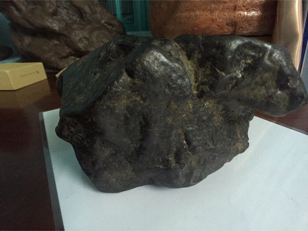 Ông Fred đột nhiên nhớ tới viên đá chặn cửa của mình, ông đã mang nó tới gặp Giáo sư Mona Sibescu tại Đại học Trung ương Michigan và nhờ bà kiểm tra giúp.