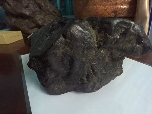 Ông Fred đột nhiên nhớ tới viên đá chặn cửa của mình, ông đã mang nó tới gặp Giáo sư Mona Sibescu tại Đại học Trung ương Michigan và nhờ bà kiểm tra giúp.