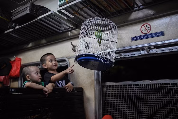 Một vị khách mang theo cái lồng chim, bên trong có con vẹt đã làm rộn ràng cả một toa tàu. Người lớn có vẻ khó chịu nhưng trẻ em lại thấy thú vị, lạ lẫm.