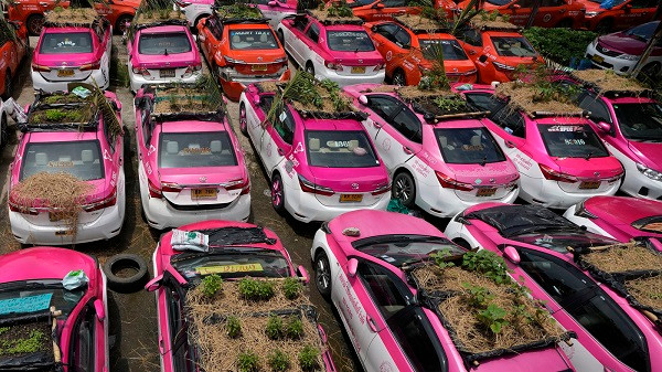 Thai Lan: Tai xe that nghiep mua dich trong cay tren noc xe