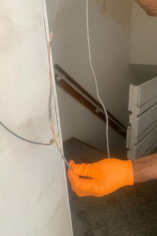 Chinh quyen boi thuong cho ba bau vi nha qua... nhieu chuot-Hinh-3