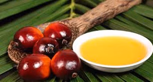 Các loại dầu nhiệt đới. Trong khi dầu ô liu, dầu hạt cải, dầu hướng dương thực sự tốt cho sức khỏe thì một số loại dầu nhiệt đới như dầu dừa, dầu hạt cọ, dầu cọ lại hoàn toàn ngược lại. Hiện những loại dầu nhiệt đới này vẫn hiện diện trong một số món ăn nhẹ, bánh ngọt, bánh cookie…